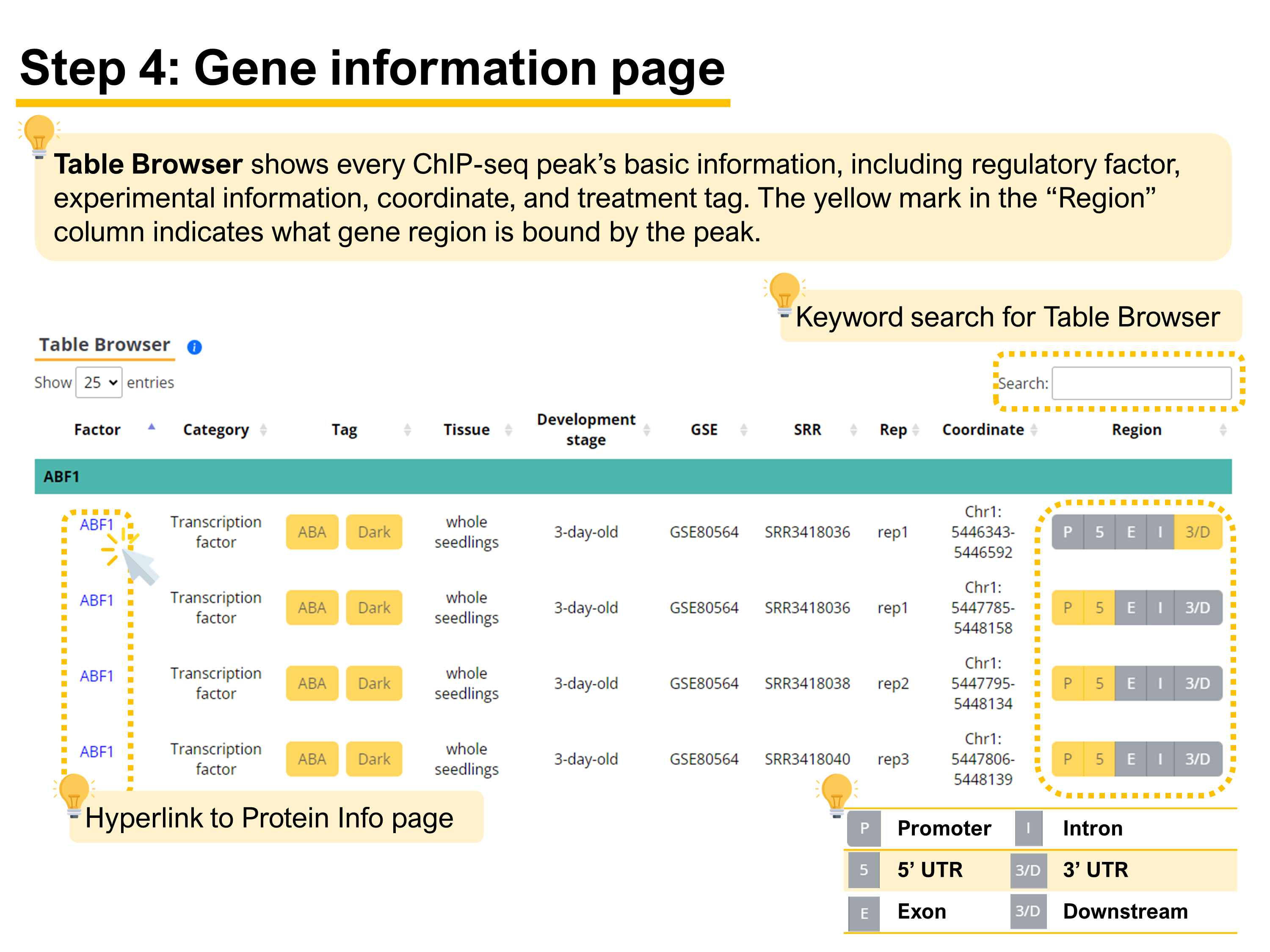 GeneSearch10