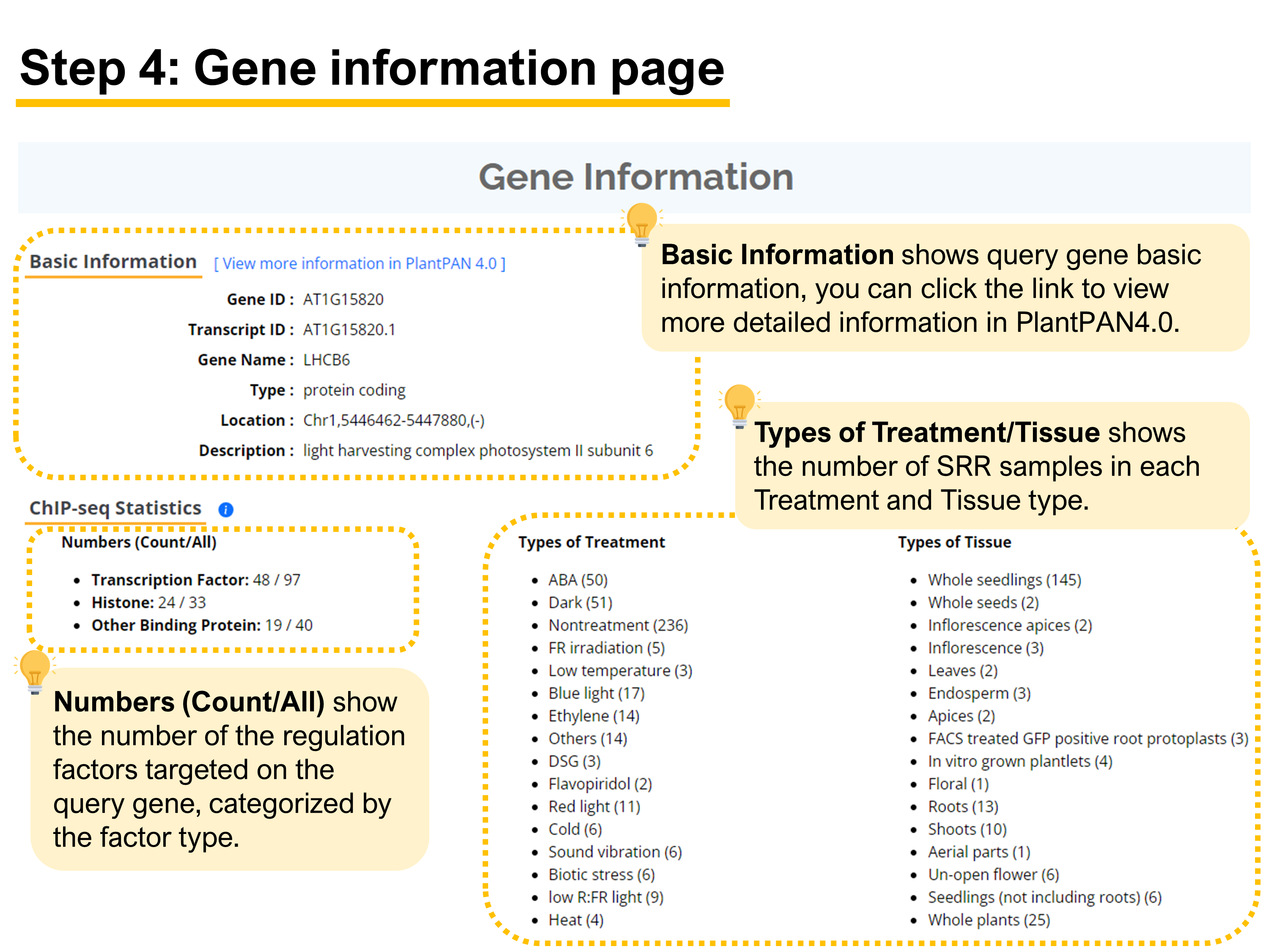 GeneSearch5