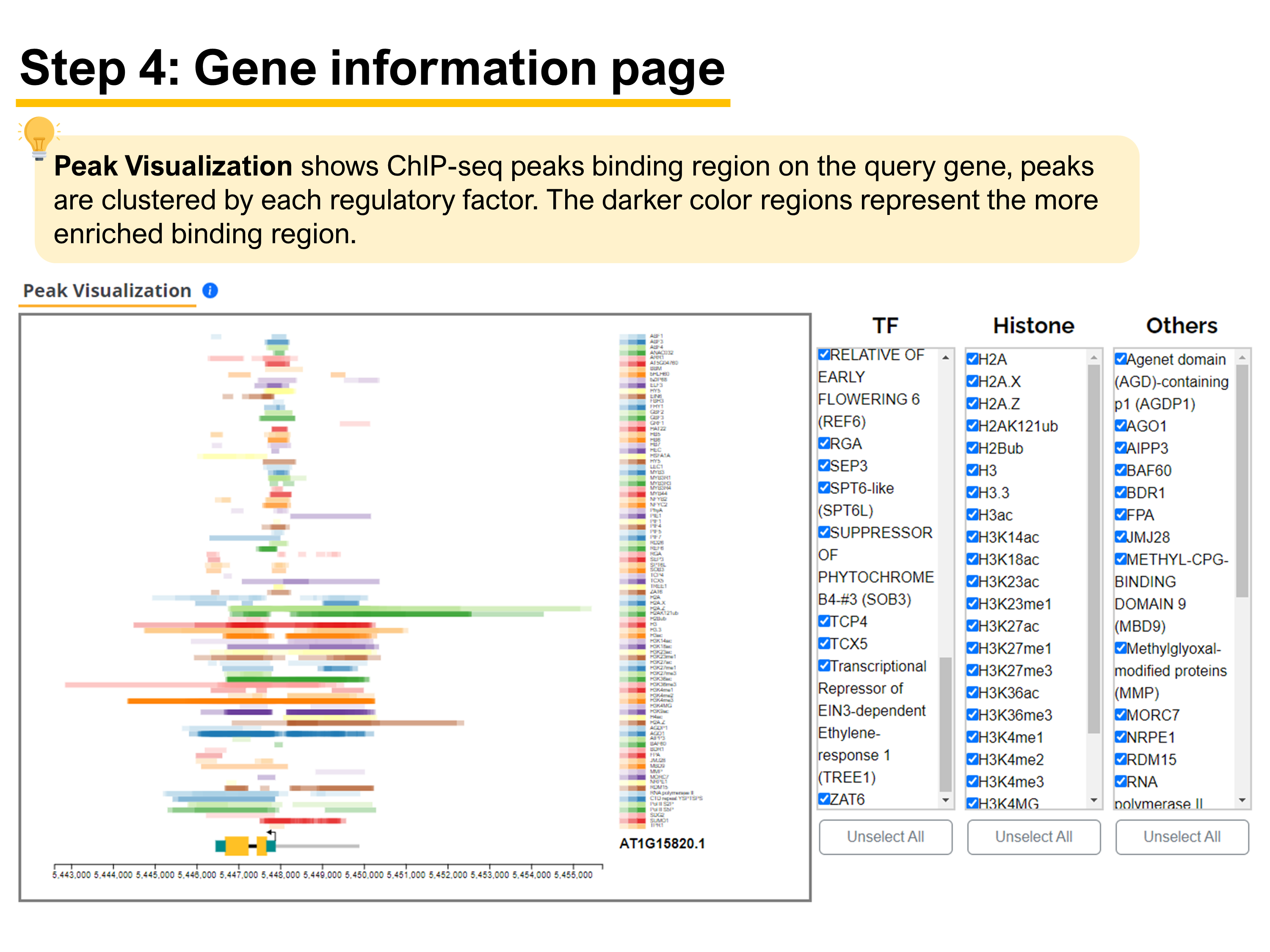 GeneSearch8