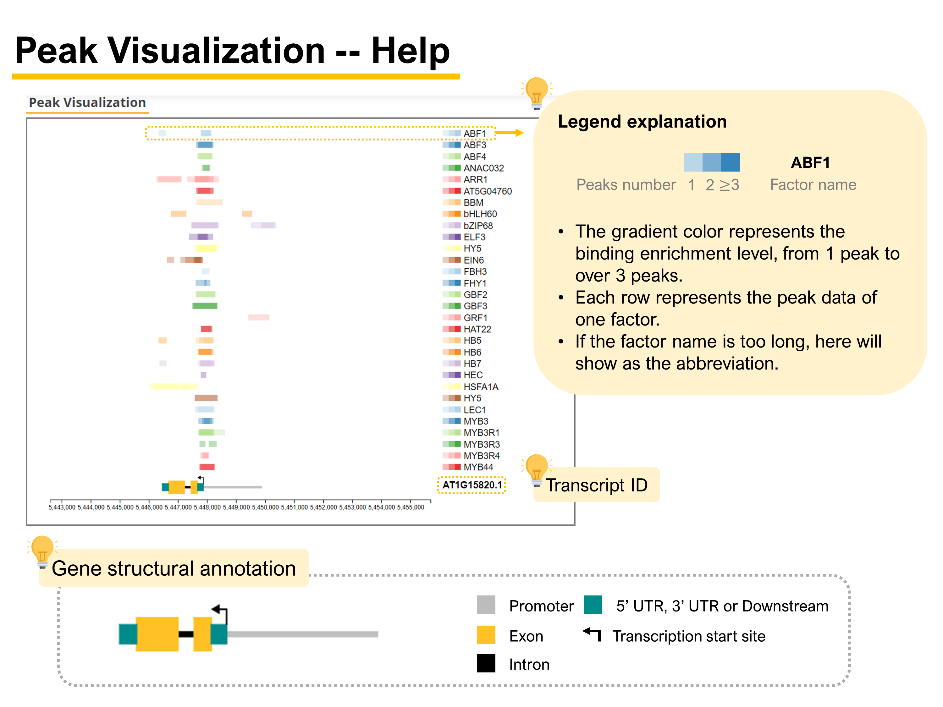 GeneSearch9